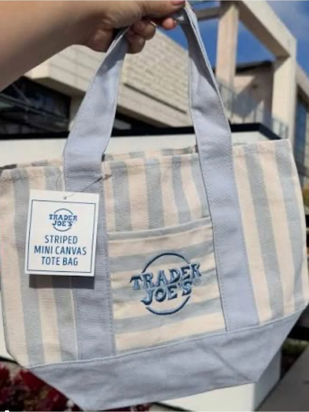 Trader Joe's Blue Stripe Canvas Mini Tote